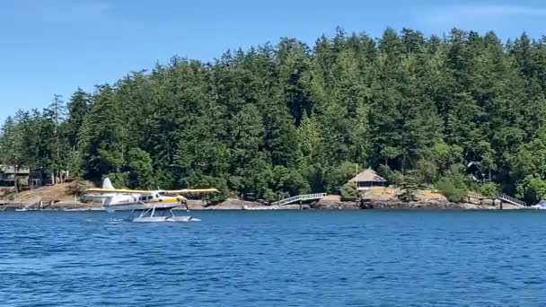 Een Watervliegtuig Taxifriday Harbor Washington Usa 2022 Een Watervliegtuig Taxi — Stockvideo