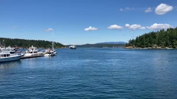 Utsikt Från Fredag Harbor Marina Färjan Lämnar Viken Och Segelbåtar — Stockvideo