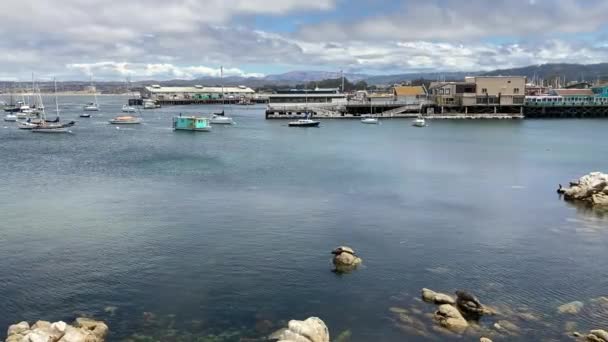 カリフォルニア州モントレー 2022 バックグラウンドにボートと海の鳥を搭載したオールドフィッシュマンズワーフのモントレー湾を横断 — ストック動画