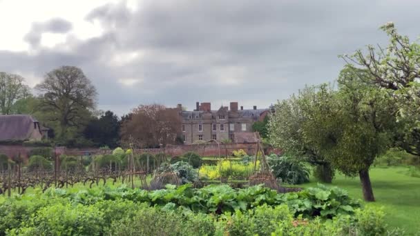イギリスのシャーロット ヤープール Yarpole Herefordshire 2023 春のクロフト城の美しい壁に囲まれたキッチンガーデンは 野菜のベッドやフルーツの木を繁栄させました 背景にある城の背面 — ストック動画