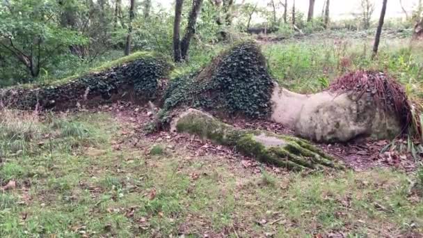 Prachtige Mud Maid Natuurlijke Sculptuur Beroemde Lost Gardens Van Heligan — Stockvideo