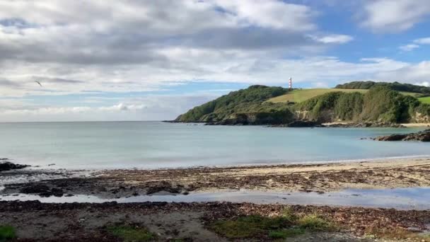 康奈德海岸美丽的Polridmouth湾在低潮时带着Gribbin Head在远方 这个位置以 丽贝卡 的背景而闻名 作者是Daphne Maurier Fowey Cornwall — 图库视频影像