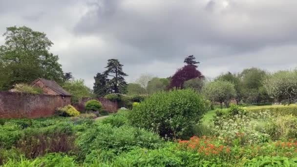イギリス ハーフォードシャー ヤープール 2023 庭が生きるにつれて春のクロフト城の素晴らしい壁の庭のパニングショット 有名なリンゴの木を一列に見ることができる — ストック動画