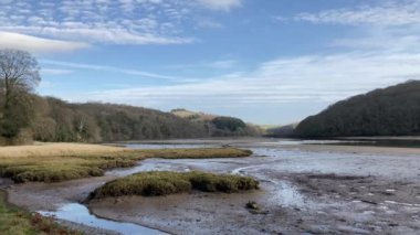 Sabahın erken saatlerinde güzel Erme Nehri Estuary 'sini çekerken düzlüklerde toplanan kuşlarla Nr Holbeton, Devon, İngiltere