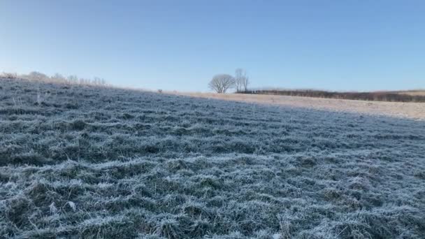 Panning Shot Frozen Frosty Field Blue Sky Cold Winter Day — Αρχείο Βίντεο
