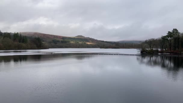 冬季以美丽的沼泽地和森林为背景 位于达特莫尔国家公园的伯瑞特水库的平静海水 在阴天拍摄 英国德文郡 — 图库视频影像