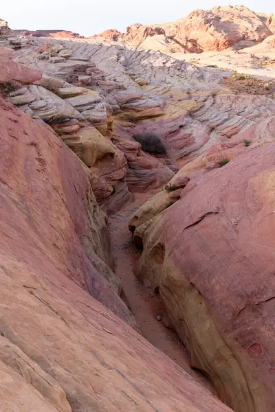 Pembe Kanyon yuvasının pastel pembe, dar duvarlarına bakarak etrafındaki kaya oluşumlarına ve aşınma sürecine geniş bir perspektifle bakmak - Ateş Vadisi Parkı, Nevada, ABD