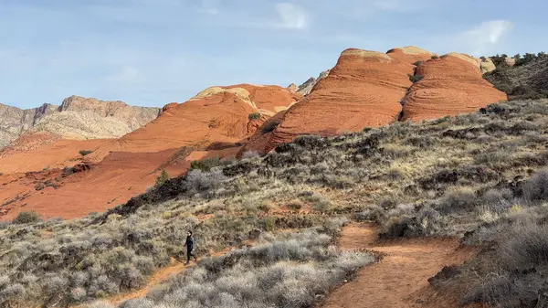 Yürüyüş yolunda, kar kanyonu parkındaki turuncu renkli kum tepelerinin önünde kıvrılan bir kadın yürüyüşçünün yan görüntüsü, St George, Utah, ABD