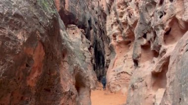 Dik kırmızı Navajo kumtaşı kaya duvarlarıyla çevrili Jennys Kanyonu 'nda yürüyen bir kadın yürüyüşçü - Kar Kanyonu Eyalet Parkı, St George, Utah, ABD