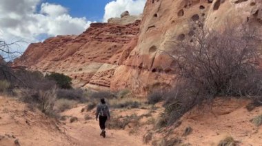 Bir kadın yürüyüşçü Utah 'taki Capitol Reef Ulusal Parkı' ndaki kızıl kayalıklara doğru yürüyor. Kum taşı kayalıklarının doğal erozyonu popüler bir turizm merkezidir..