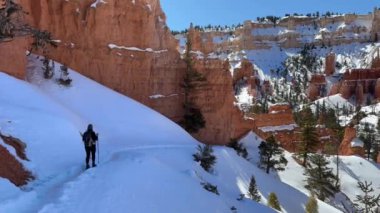 Güneşli bir günde, Bryce Canyon Ulusal Parkı 'nda karla kaplı bir patikada yürüyüş yapan bir kadın yürüyüşçü. Yol, parkın Utah, ABD 'de meşhur olan belirgin kızıl kaya kabadayılarıyla çevrili.