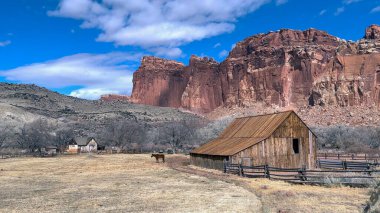 Tarlada bir atı olan tarihi Fruita Barn Utah 'taki Capitol Reef National Park' ın görkemli kızıl kaya kayalıklarının önünde duruyor. Arka planda ünlü Gifford Homestead var.