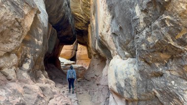 Utah 'ın Kanyonlar Ulusal Parkı Needles Bölgesi' ndeki Ortak Yol 'daki büyük kayalıklardan oluşan bir tünelde yürüyen kadın yürüyüşçü..
