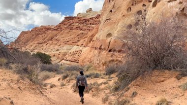 A female hiker walks toward a red rock cliff in Capitol Reef National Park, Utah. The natural erosion of the sandstone cliffs is a popular tourist destination. clipart