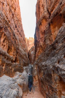 Yalnız bir erkek yürüyüşçü, ABD 'nin Utah eyaletinin başkenti Capitol Resif Ulusal Parkı' ndaki Cohab Kanyonu 'nun yan kanyonundaki dar ve yüksek kaya duvarlarında geziniyor.