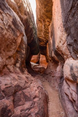 Utahs Canyonlands Ulusal Parkı 'ndaki Joint Trail kanyonunun çarpıcı görüntüsü engebeli kırmızı kaya oluşumlarını ve Needles Bölgesi - ABD arasındaki dar tünel geçidini gözler önüne seriyor.