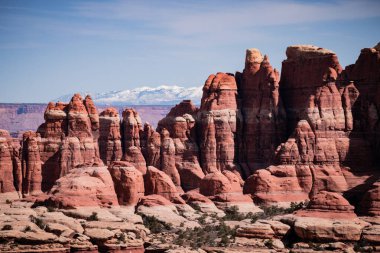 Stunning landscape of striking red rock needles formations in Canyonlands National Park, Utah. With the snow-capped La Sal Mountains in the distance - USA clipart