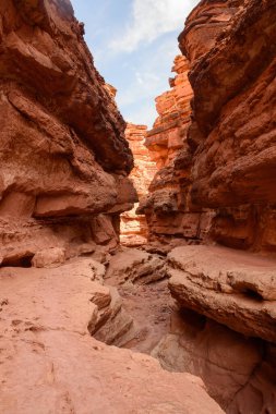 Arizona, ABD 'deki Katedral Yıkama Kanyonu' nun nefes kesici doğal güzelliğini tecrübe edin. Bu çarpıcı manzara yüksek kırmızı kaya duvarları ve dar çıkıntılar içeriyor, resim gibi bir manzara yaratıyor..