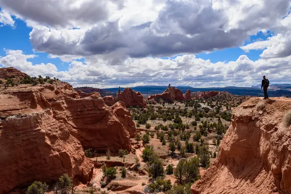 Utah 'taki Kodachrome Havzası' nın çarpıcı çöl manzarasına bakan uçurumun kenarında tek başına duran bir adam. Dramatik gökyüzü, renkli kırmızı kaya oluşumları ve vahşi Amerika 'yı yakalıyor.