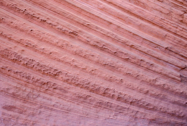 A detailed close-up of rock striations in Buckskin Gulch slot canyon, Utah, highlighting the pink hues and texture. This geological feature showcases the natural beauty and patterns shaped by erosion.