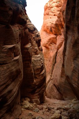Arizona, Utah sınırındaki Buckskin Gulch Kanyonu 'ndaki karmaşık kaya oluşumlarının nefes kesici görüntüsü. Dramatik ışık, Amerika 'nın bu çarpıcı kanyonundaki dokuları ve gölgeleri vurgular.