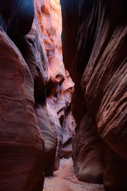 Arizona, Utah sınırındaki Buckskin Gulch Slot Kanyonu 'nun büyüleyici güzelliğini keşfedin. Güneş ışığı, kaya oluşumlarının çarpıcı zıtlıklarını vurguluyor. Doğa erozyonunun gücü - ABD