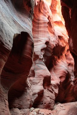 Arizona, Utah sınırındaki Buckskin Gulch Kanyonu 'nun nefes kesici kıvrımlarını ve canlı renklerini keşfedin. Bu doğal mucize benzersiz jeolojik oluşumlar ve erozyon sergiliyor.