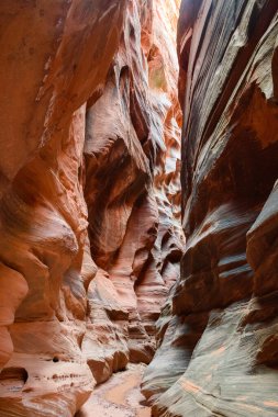 Arizona, Utah sınırındaki Buckskin Gulch korkusunu yaşayın. Uzun, dar kesimleri ve nefes kesici kaya oluşumlarıyla görkemli slot kanyonuyla tanınır. Amerika 'nın çarpıcı güneybatısı - ABD