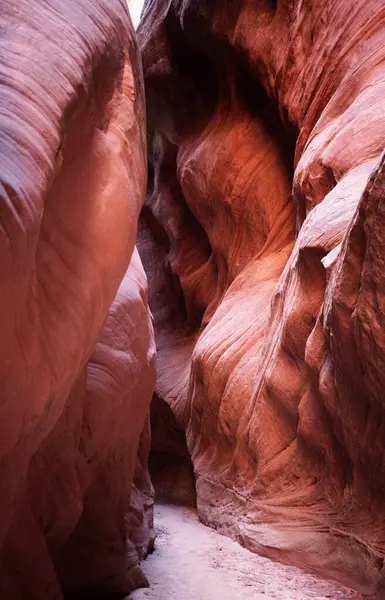 Arizona, Utah sınırındaki Buckskin Gulch Slot Kanyonu 'nun çarpıcı pembe taş duvarlarını keşfedin. Bu nefes kesen doğal mucize, jeolojik desenleri ve canlı renkleri gözler önüne seriyor..
