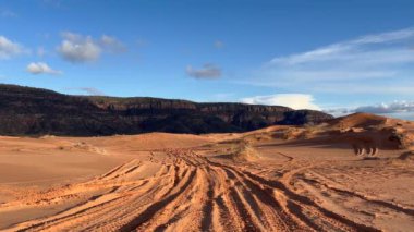 Mercan Pembe Kum tepeleri üzerinde mavi gökyüzü ve bulutlu ATV lastik izlerinin geniş bir görüntüsü. Coral Pink Sand Dunes, ABD 'nin Utah eyaletinin Kanab kenti yakınlarında bulunan bir off-road otomobil dinlenme alanıdır.