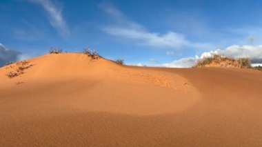 Gün batımında beyaz bulutlarla benekli parlak mavi bir gökyüzünün altında yemyeşil çimen parçalarıyla dalgalanan kırmızı kum tepelerinin yakın plan çekimi. Coral Pink Sand Dunes State Park, Utah, ABD 'de çekildi..