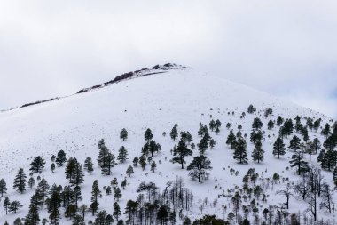 Flagstaff, Arizona 'daki Sunset Volkan Ulusal Anıtı' nın dingin güzelliğini görün. Bu kış sahnesinde manzara karla örtülmüş ve dağınık ağaçlarla süslenmiştir.