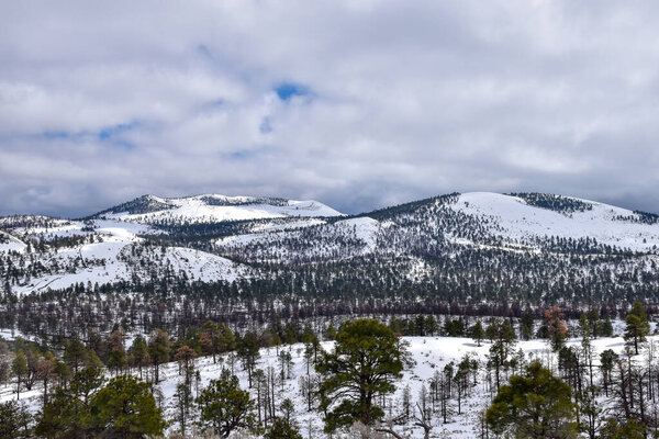 Захватывающий вид на национальный памятник вулкана Сансет Кратер возле Флагстаффа, Аризона. Пейзаж демонстрирует заснеженные холмы и вечнозеленые деревья, захватывающие красоту зимы - США