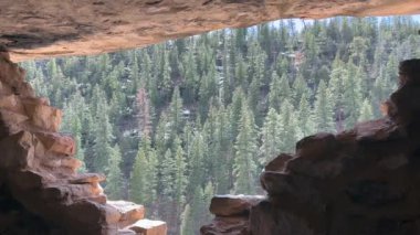 Walnut Canyon Ulusal Anıtı 'ndaki güzel bir ormanda bulunan antik bir uçurumdan dışarı bakarken çekilmiş bir fotoğraf. Taştan konut, Arizona, ABD 'de Flagstaff yakınlarında istiflenmiş taşlardan yapılmıştır. .