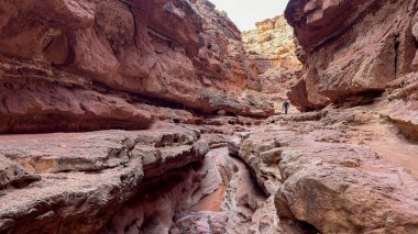 Yalnız bir erkek yürüyüşçü Arizona 'daki Katedral Yıkama' nın dik, kırmızı kaya oluşumlarında yol alır. Red Rock Slot Kanyonu 'nun engin duvarları macera ve huşu hissi uyandırıyor.