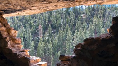 Walnut Canyon Ulusal Anıtı 'ndaki güzel bir ormanda bulunan antik bir uçurumdan bakıyorum. Taştan konut, Arizona, ABD 'de Flagstaff yakınlarında istiflenmiş taşlardan yapılmıştır. .