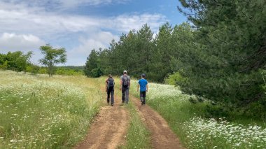 A scenic view of three hikers trekking through a lush green forest trail bordered by blooming wildflowers under a partly cloudy sky - Bulgaria, Europe. clipart