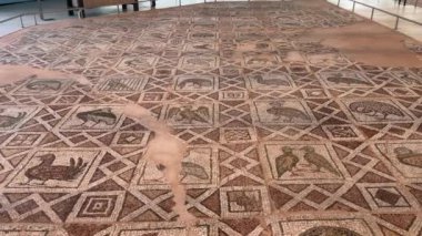 Filibe, Bulgaristan, Avrupa - 06.12.2023: Bulgaristan 'ın Filibe kentindeki Küçük Bazilika' da çeşitli kuşlarla antik mozaik zemin. Tarihi sanat, mimari ve kültürel miras..