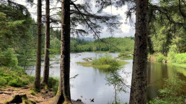 Kraliçe Elizabeth Forest Park, İskoçya 'daki Lochan aGleannain manzarası. Huzurlu göl yemyeşil ağaçlarla çevrili, barışçıl bir atmosfer yaratıyor - İngiltere