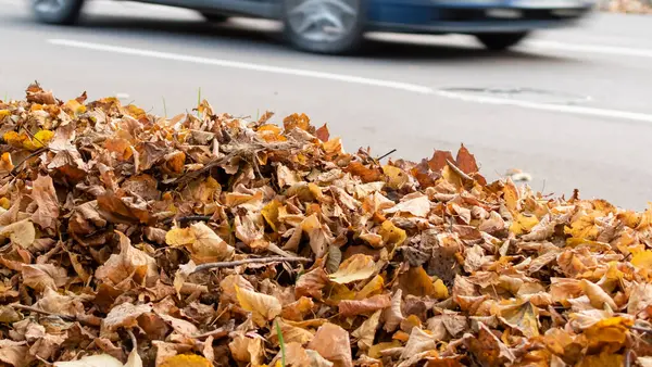 Kupa Suchych Opadłych Jesiennych Liści Rozmytym Tle Drogi Samochodem Ruchu — Zdjęcie stockowe