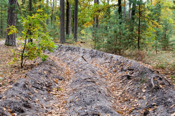 stock image Crumbling ditch in green forest covered with fallen leaves