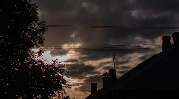 暗い空を背景に木々や家のシルエット — ストック写真