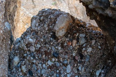 Fosilleşmiş kumtaşı bulanık arkaplanı kapat