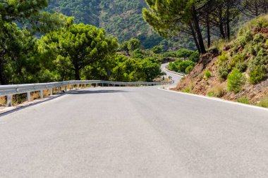 Asfalt otomobil dağ yolu yeşil dağ zeminine karşı