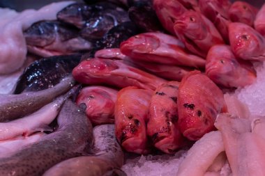 Tezgahta buzda taze balık var.