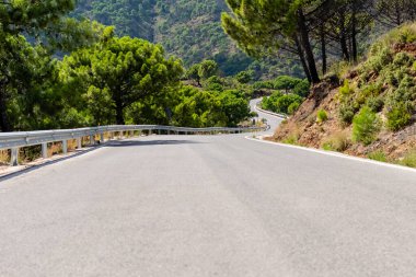 Asfalt otomobil dağ yolu yeşil dağ zeminine karşı