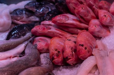 Tezgahta buzda taze balık var.