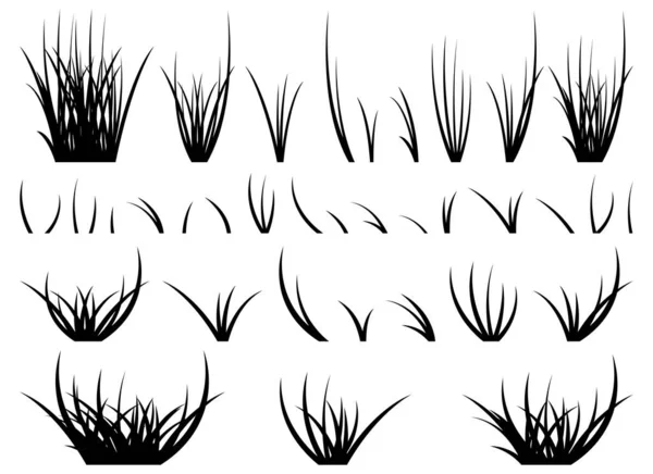 Tecknad Silhuett Gräs Blad Samling Vektor Illustration Isolerad Vit — Stock vektor