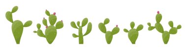 Cartoon desert cactus plants isolated on white. Desert plants vector illustration