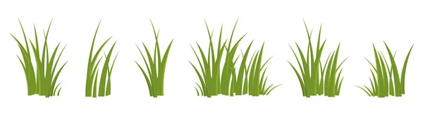 Cartoon Grass Leaves Collection Vector Illustration Isolated White — Stock Vector